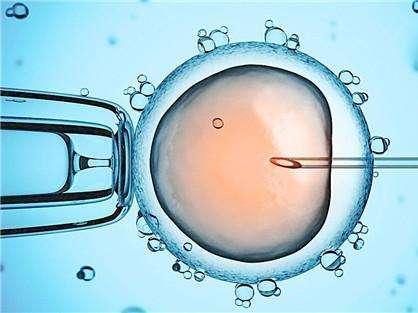 案例
